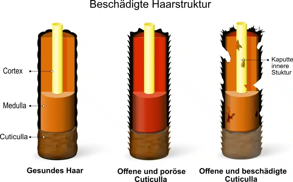 Haaranalyse_Beschaedigte-Haarstruktur