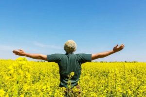 Man standing in sunflower field spreading arms