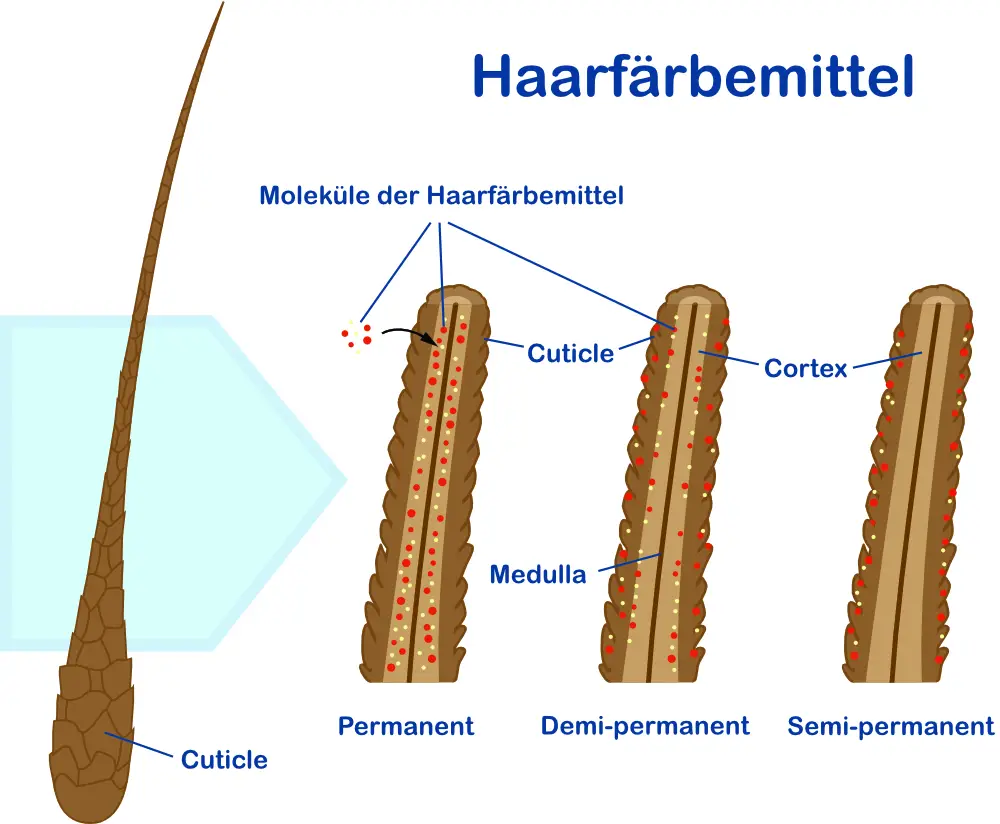 Haarausfall-durch-Faerben