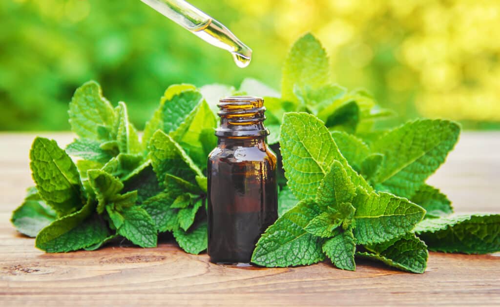 Olio di menta piperita