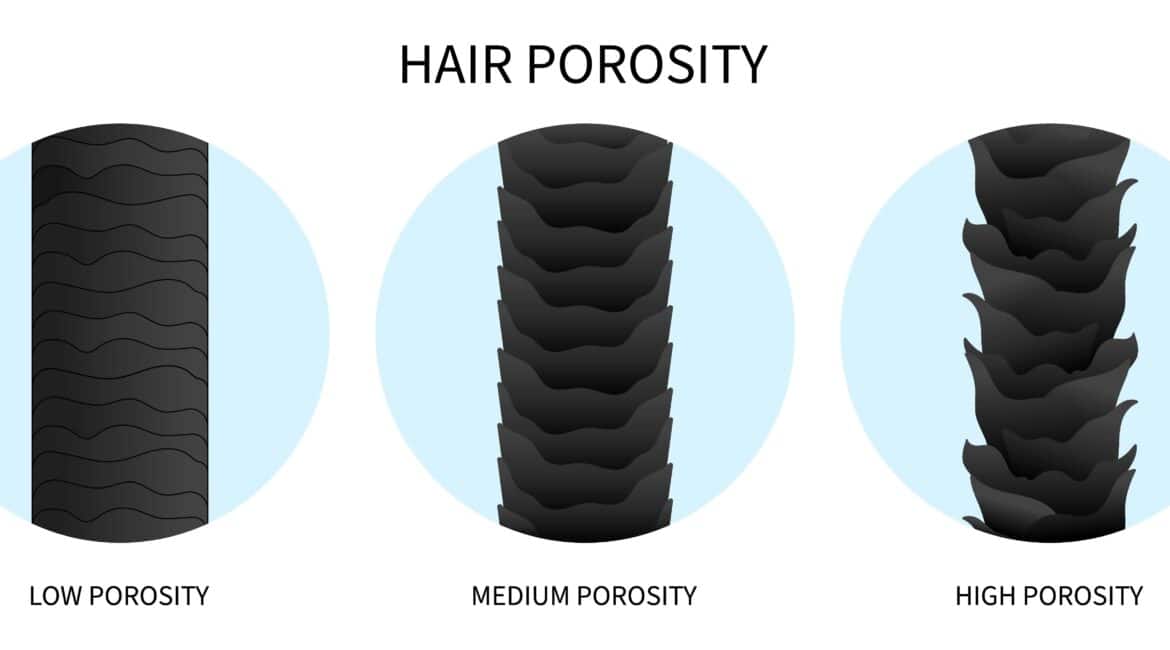 Low vs high porosity hair comparison showing cuticle structure