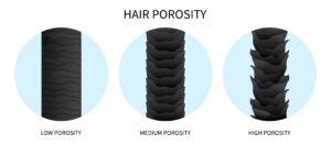 Low vs high porosity hair comparison showing cuticle structure