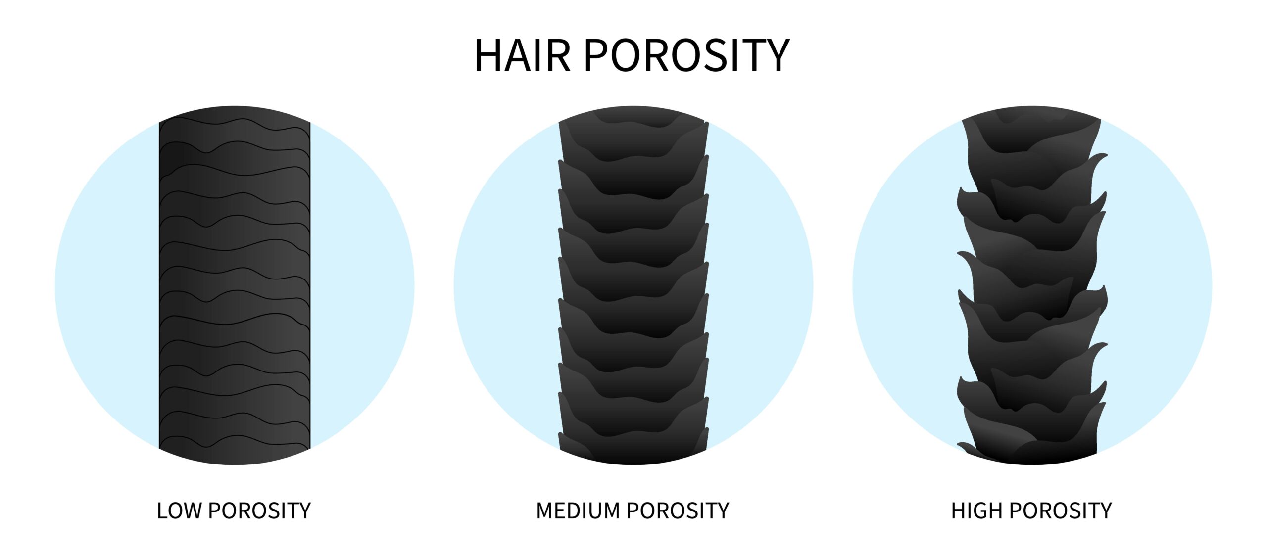 Low vs high porosity hair comparison showing cuticle structure