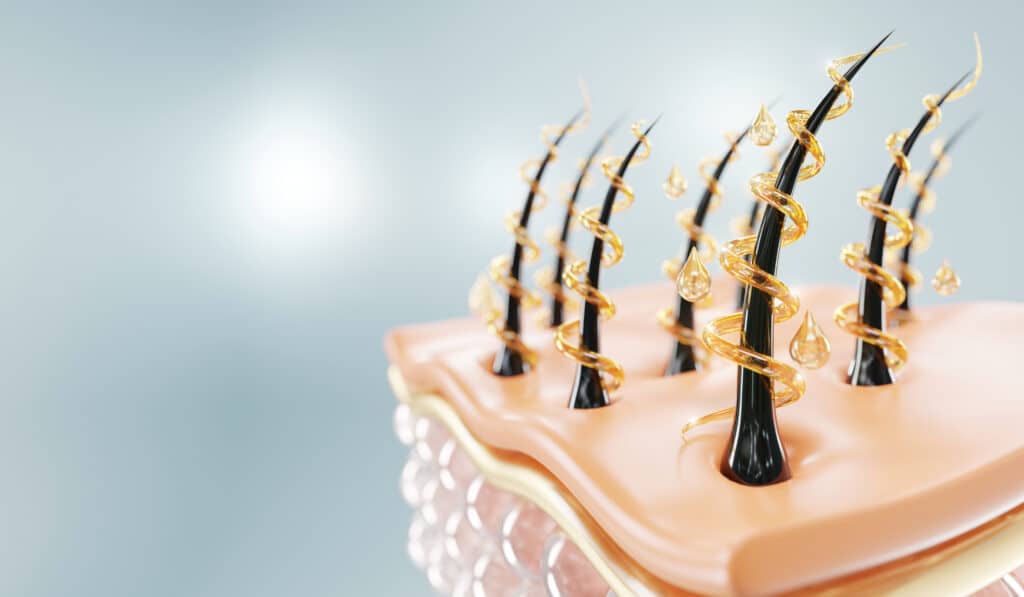 Imagen que muestra el efecto del champú y la nutrición del cabello.