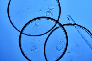 Esosomi capelli: cellule viste al microscopio