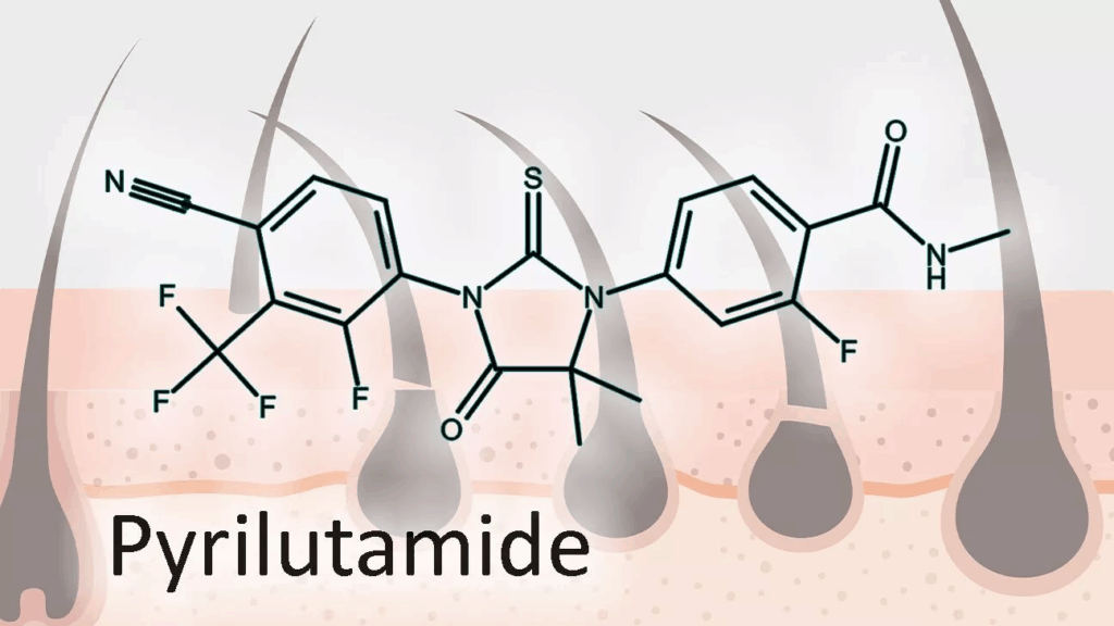 Liaison chimique du pyrilutamide
