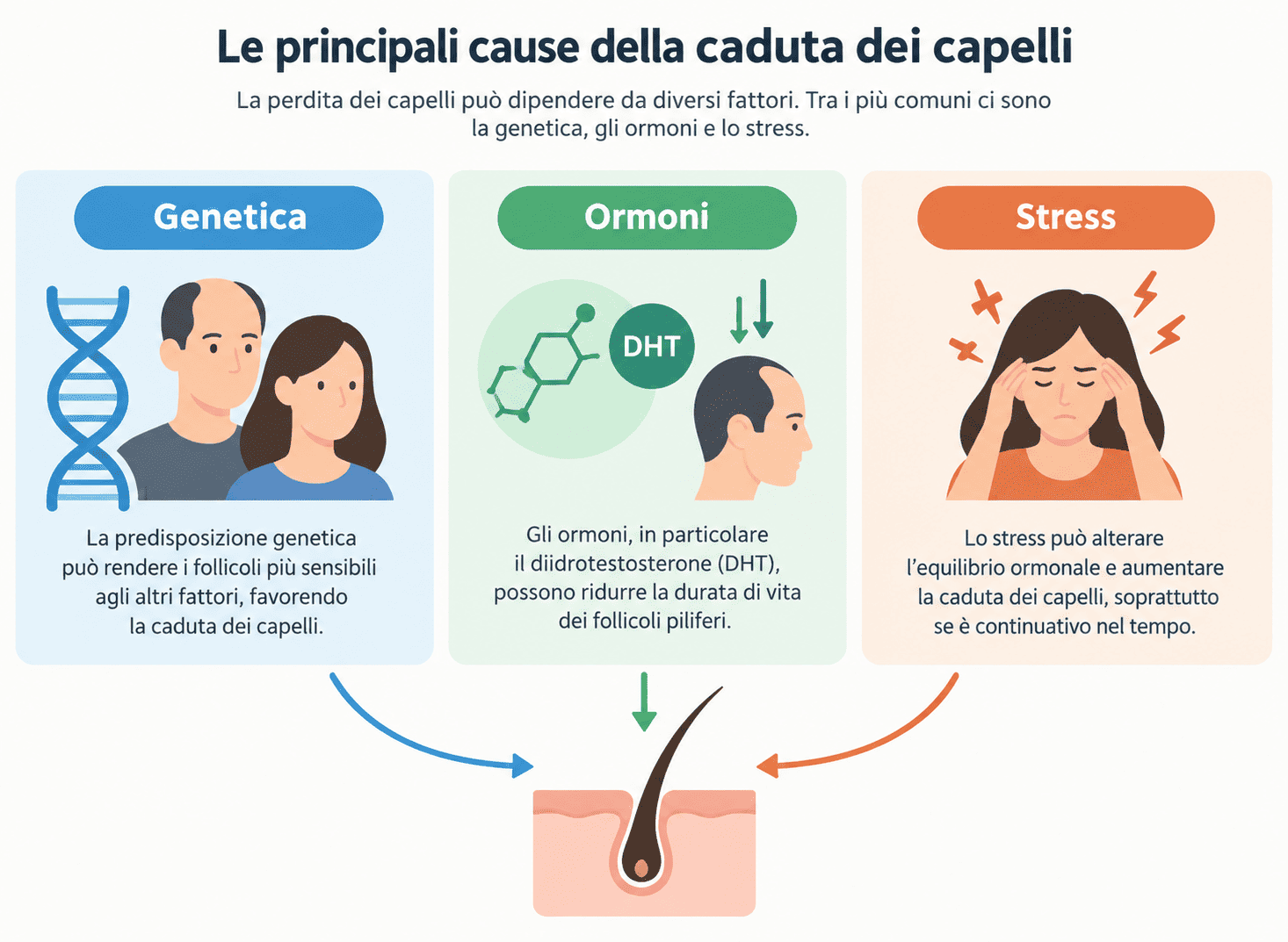 Illustrazione delle cause della caduta dei capelli: genetica, ormoni, stress
